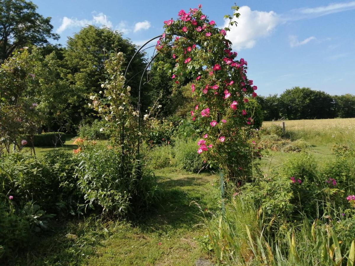 Yvignac-la-Tour Les Berges De La Planchette Bed & Breakfast エクステリア 写真